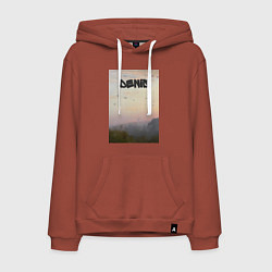 Мужская толстовка-худи Denis птицы в небе