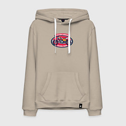 Мужская толстовка-худи Racing team