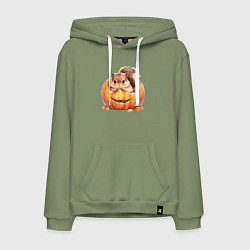 Мужская толстовка-худи Белка в тыкве