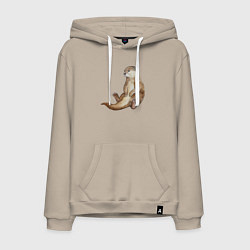 Мужская толстовка-худи Выдра сидит