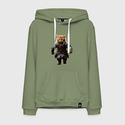 Мужская толстовка-худи Кот викинг