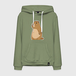 Мужская толстовка-худи Прекрасная капибара