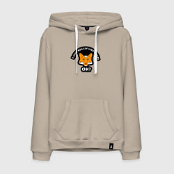 Мужская толстовка-худи Мне очень нравятся лисы