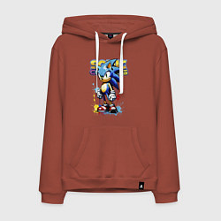 Мужская толстовка-худи Ёжик Соник - эскиз с логотипом