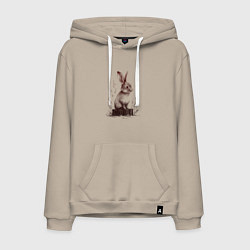 Мужская толстовка-худи Кролик на пеньке