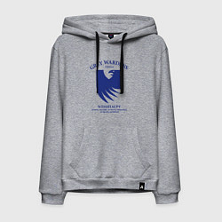 Мужская толстовка-худи Grey Wardens - Dragon Age