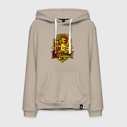Мужская толстовка-худи Hogwarts - gryffindor logo
