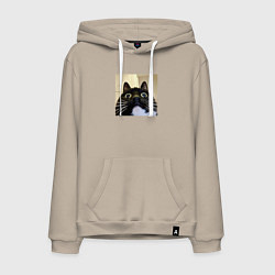 Мужская толстовка-худи Видеосвязь с котом мем звонит