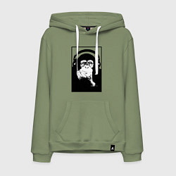 Мужская толстовка-худи Monkey in the headphones