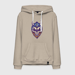 Мужская толстовка-худи Skull viking