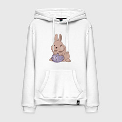 Мужская толстовка-худи Пасхальный кролик с яйцом