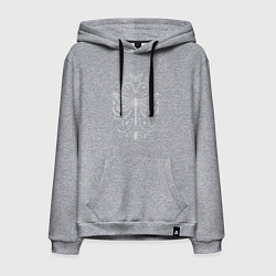 Мужская толстовка-худи Стрекоза паук и бабочка белые