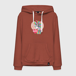 Толстовка-худи хлопковая мужская Color bird, цвет: кирпичный