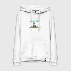 Мужская толстовка-худи Природа Алтая