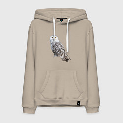 Мужская толстовка-худи Полярная сова