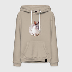 Мужская толстовка-худи Кролик бело-серый