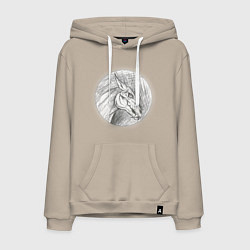 Мужская толстовка-худи Черепа лошадей