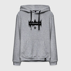 Толстовка-худи хлопковая мужская Ветеринар сила и забота, цвет: меланж