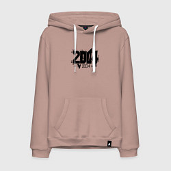 Мужская толстовка-худи 2004 год