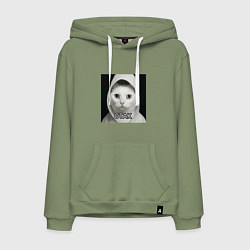 Мужская толстовка-худи Мем кот Отак