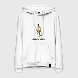 Мужская толстовка-худи Serpentini Toiletini