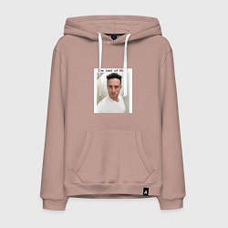 Мужская толстовка-худи The last of Stas meme