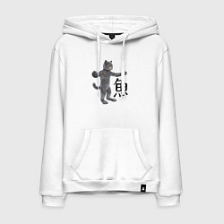 Мужская толстовка-худи Кот с иероглифом рыба