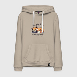 Мужская толстовка-худи Очень ленивый нот