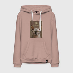 Толстовка-худи хлопковая мужская Yo - Im Sphynx, цвет: пыльно-розовый