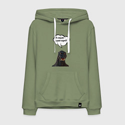 Мужская толстовка-худи Не люблю сухой корм кот кошка