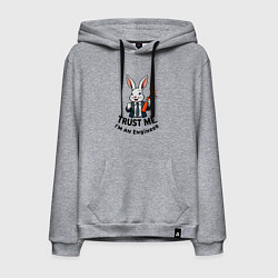 Мужская толстовка-худи Кролик с динамитом - Trust me im an engineer
