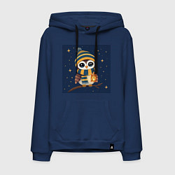 Мужская толстовка-худи Сова в шапке и шарфе с фонарём