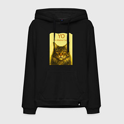 Мужская толстовка-худи Yo - Im Maine Coon