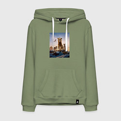 Мужская толстовка-худи Семья львов