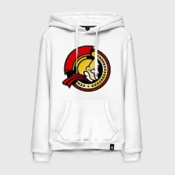 Мужская толстовка-худи HC Ottawa Senators Alternative