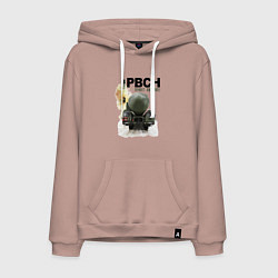 Мужская толстовка-худи РВСН: Привет Америке