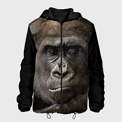 Куртка с капюшоном мужская Глаза гориллы, цвет: 3D-черный