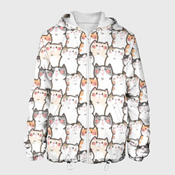 Мужская куртка Кошки котики коты