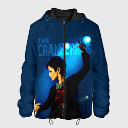 Куртка с капюшоном мужская The Cranberries цвета 3D-черный — фото 1