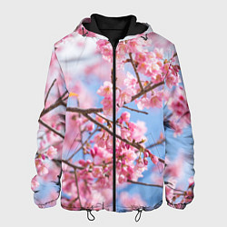 Мужская куртка Ветки Сакуры