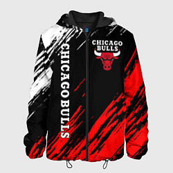 Куртка с капюшоном мужская CHICAGO BULLS, цвет: 3D-черный