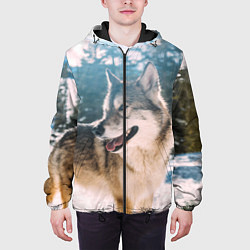 Куртка с капюшоном мужская Волк и снег, цвет: 3D-черный — фото 2