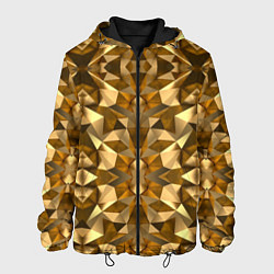 Куртка с капюшоном мужская Gold, цвет: 3D-черный
