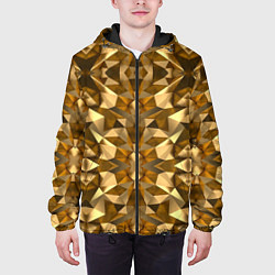 Куртка с капюшоном мужская Gold, цвет: 3D-черный — фото 2