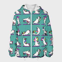 Куртка с капюшоном мужская Единороги Зарядка, цвет: 3D-белый