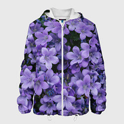 Мужская куртка Фиолетовый цвет весны