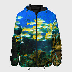 Куртка с капюшоном мужская Коралловые рыбки, цвет: 3D-черный