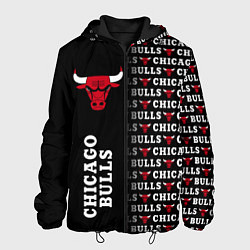 Мужская куртка CHICAGO BULLS 7