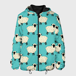 Мужская куртка Овечки паттерн на бирюзовом