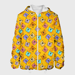 Куртка с капюшоном мужская Цветные котики и лапки, цвет: 3D-белый